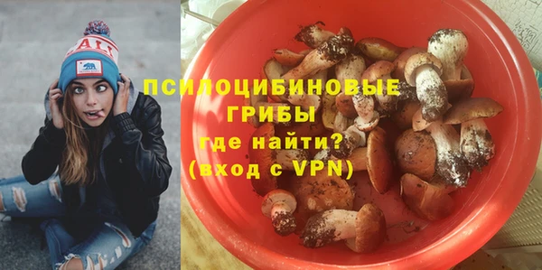 бошки Арсеньев