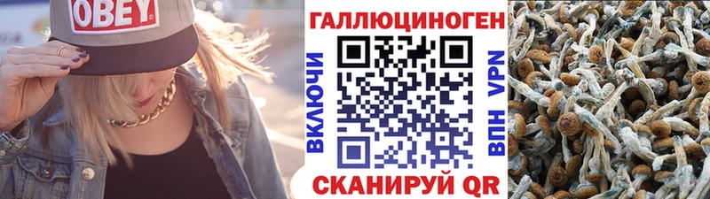 Псилоцибиновые грибы Psilocybe  KRAKEN как зайти  Бакал 